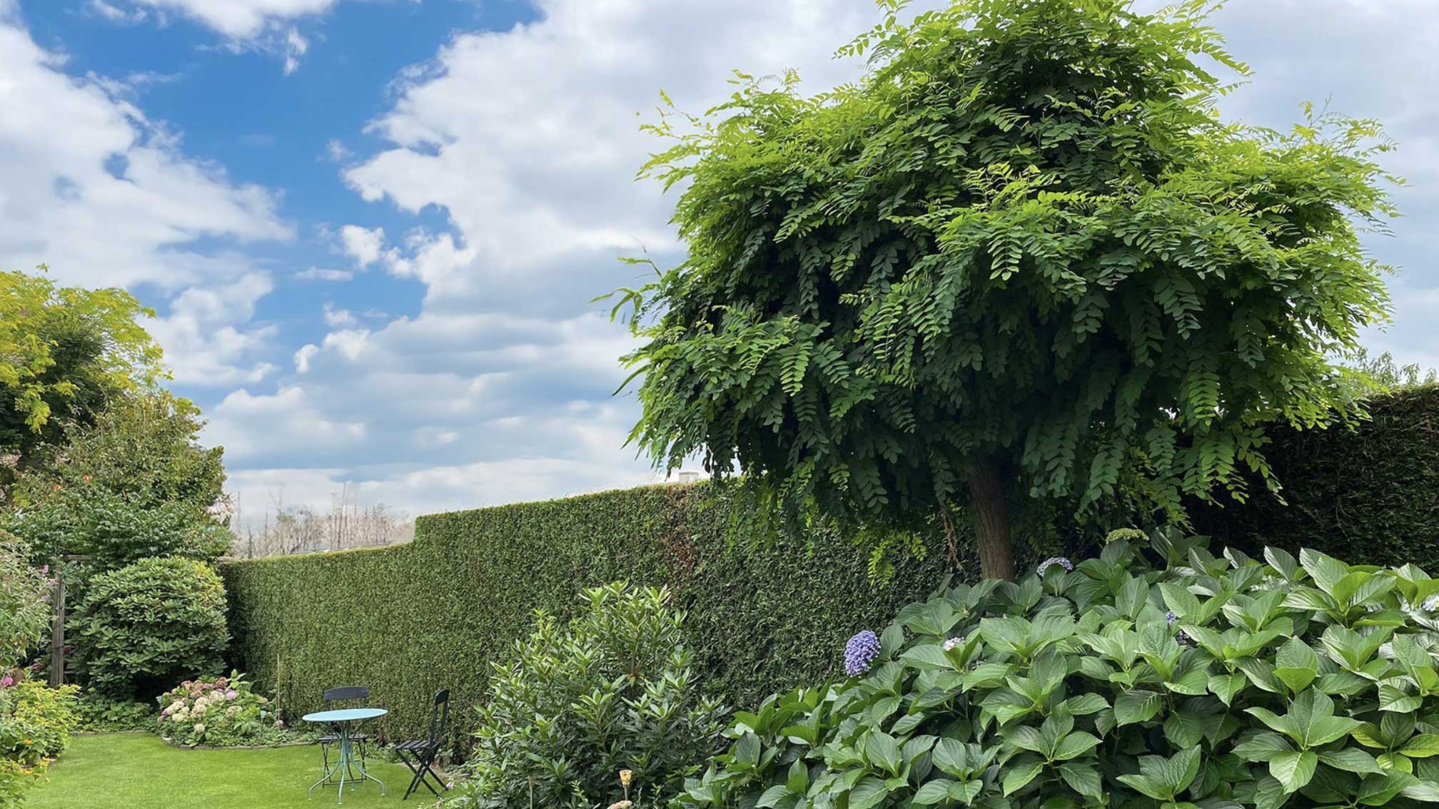 Leibomen