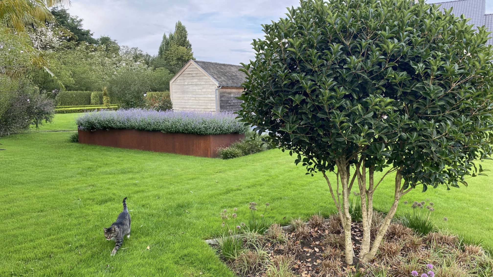 Leibomen
